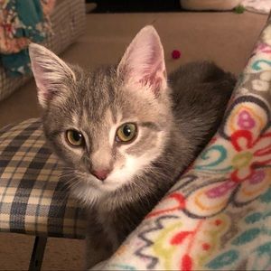 Meet your Posher, Megan